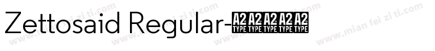 Zettosaid Regular字体转换